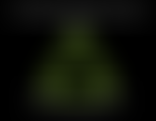 The Triangle of the Circulatory System