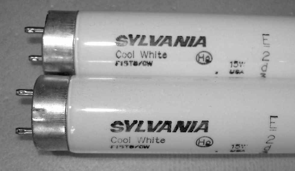 2 of Sylvania F15T8/CW 15W 4200K 18"T8 Linear Fluorescent Tube Light