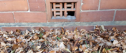 entry for rats through air bricks