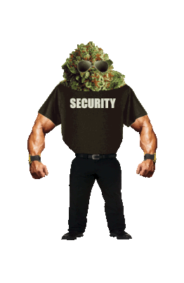 security.gif
