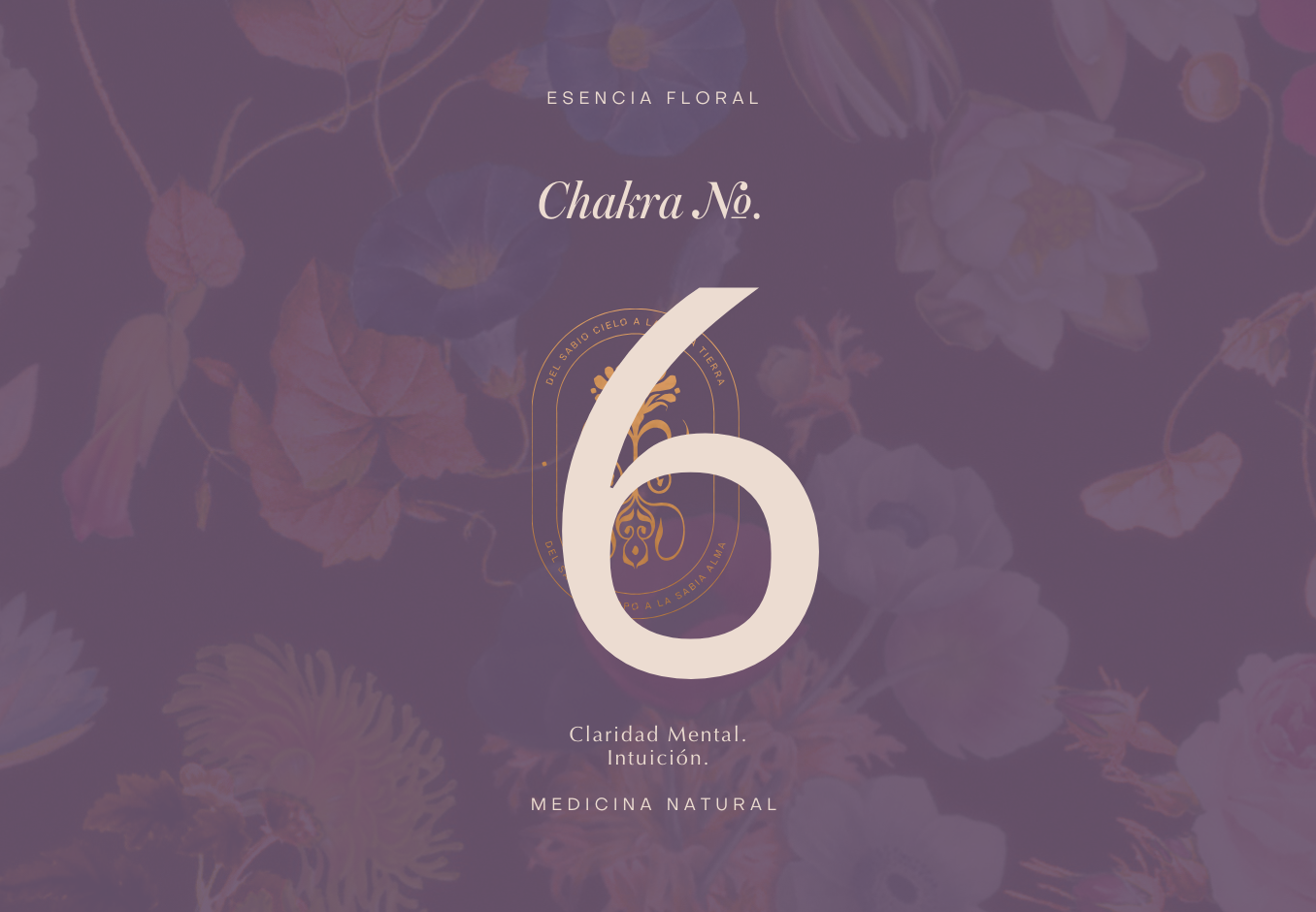 Esencia - Chakra #6