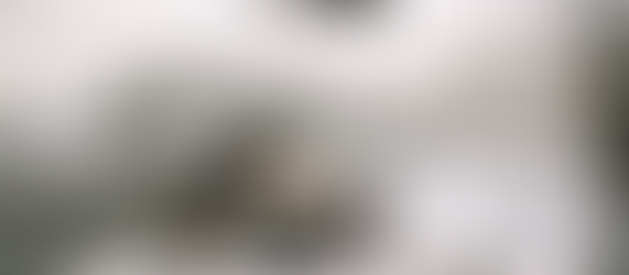 Americans Don’t Run on Coffee — We Run on Fear