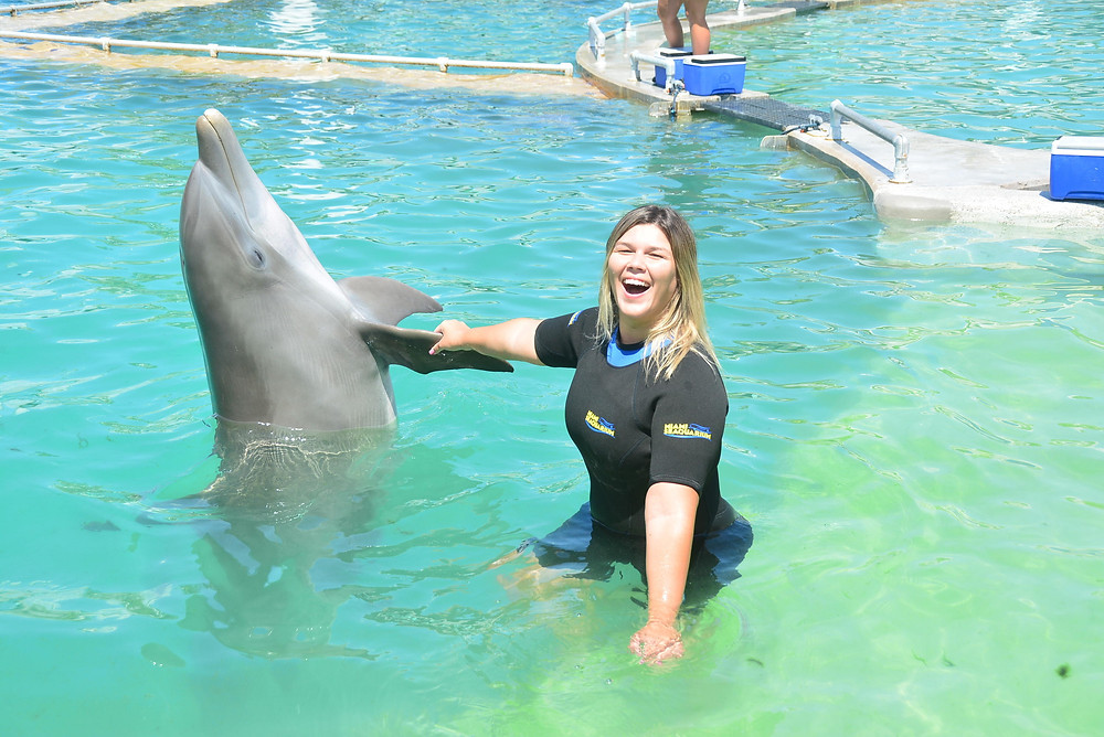 Nadando com golfinho em Miami