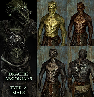 Drachis Argonians Mod