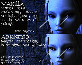 Eye Normal Map