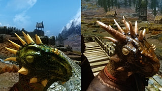 HD Argonian Hairstyles