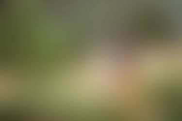 Prachtige zwangerschapsshoot in de natuur
