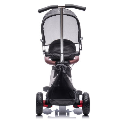triciclo x3_0000_7.jpg