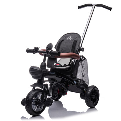 triciclo x3_0003_4.jpg