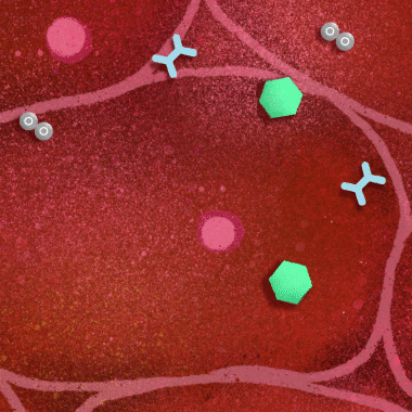 Comp 1_2.gif