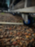 IMG_7920.jpeg
