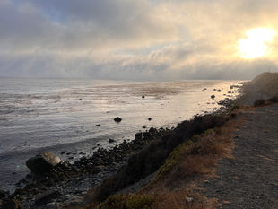 World Suicide Prevention Day