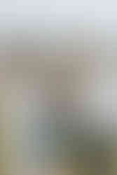 Intimate Mountain Gatlinburg Elopement