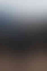 Playful & Romantic Smoky Mountain Engagement Photos