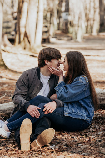 couple sitting on tree in forest at engagement photos at cades cove in tennessee