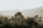 Knoxville_Couples_Photography_MountainTop-3803