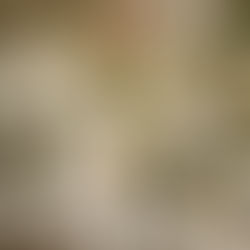 Inge & Nate’s Elegant Country Estate Wedding in Queensland