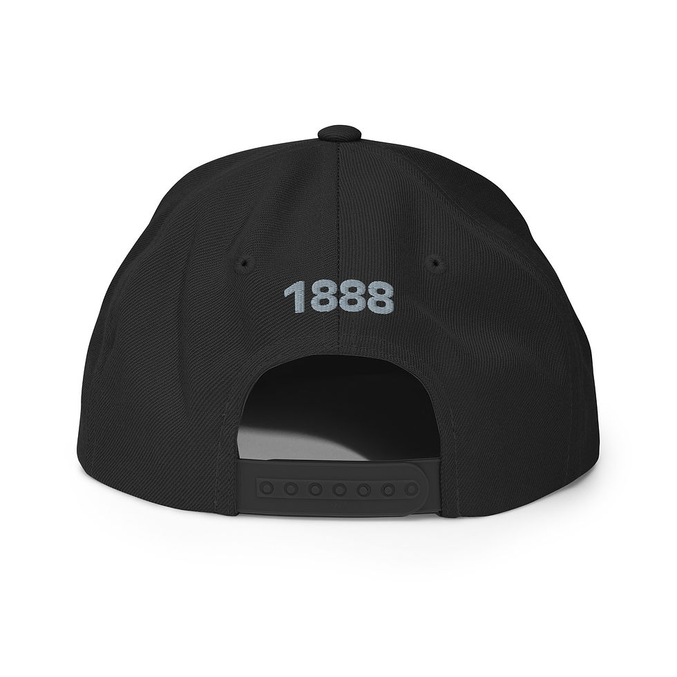 Thumbnail: Snapback Hat