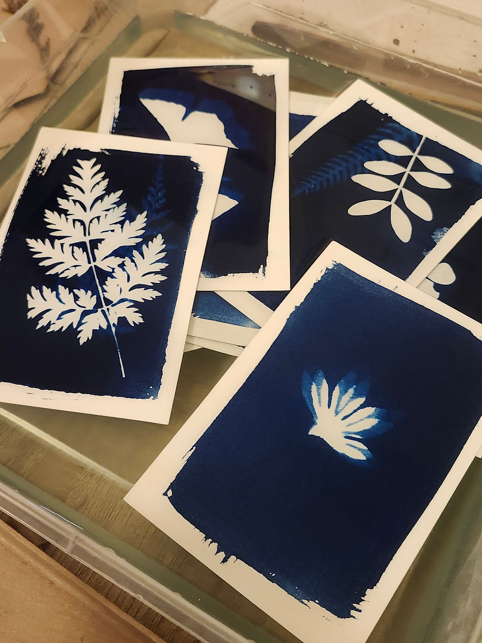 Miniature : multiples expositions des cyanotypes et jeux de lumière