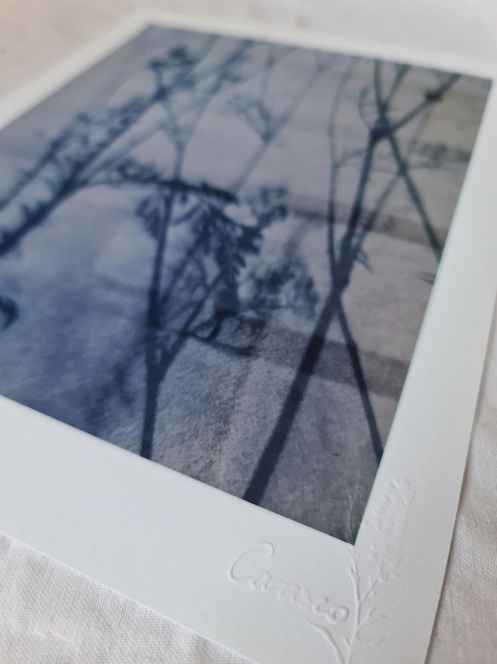 Thumbnail: Les Eaumes - Tirage d'Art - 24x30cm - Champêtre