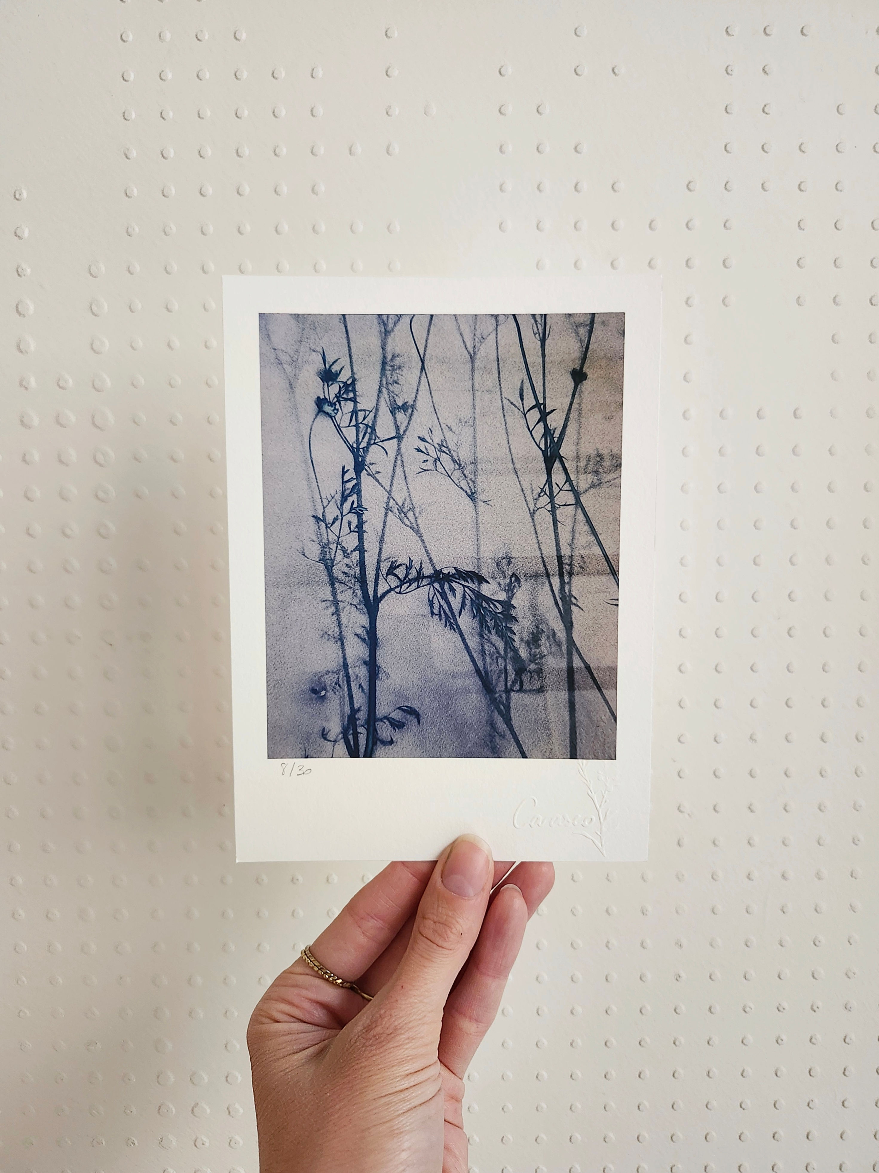 Les Eaumes - Tirage d'Art - 13x18cm - Champêtre