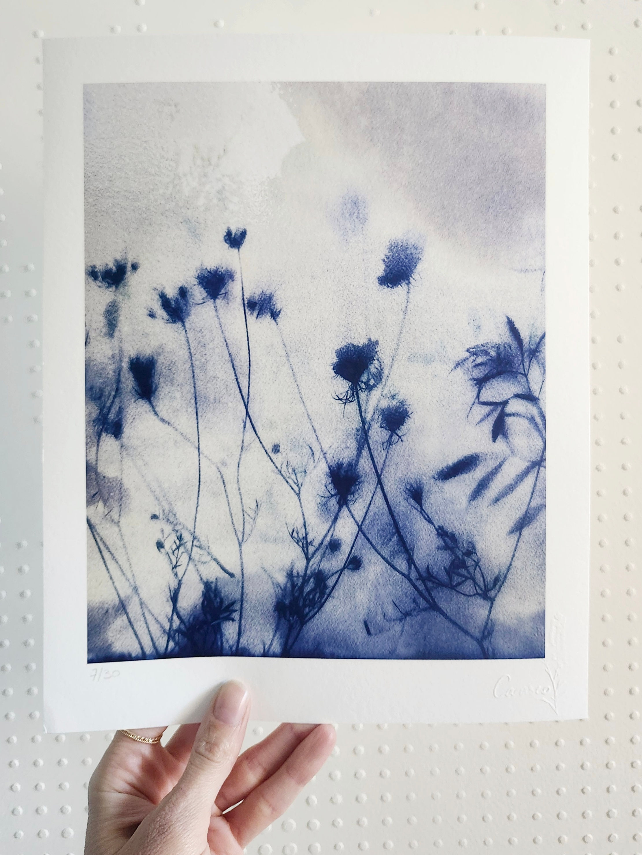 Les Eaumes - Tirage d'Art - 24x30cm - Ombres des Prés