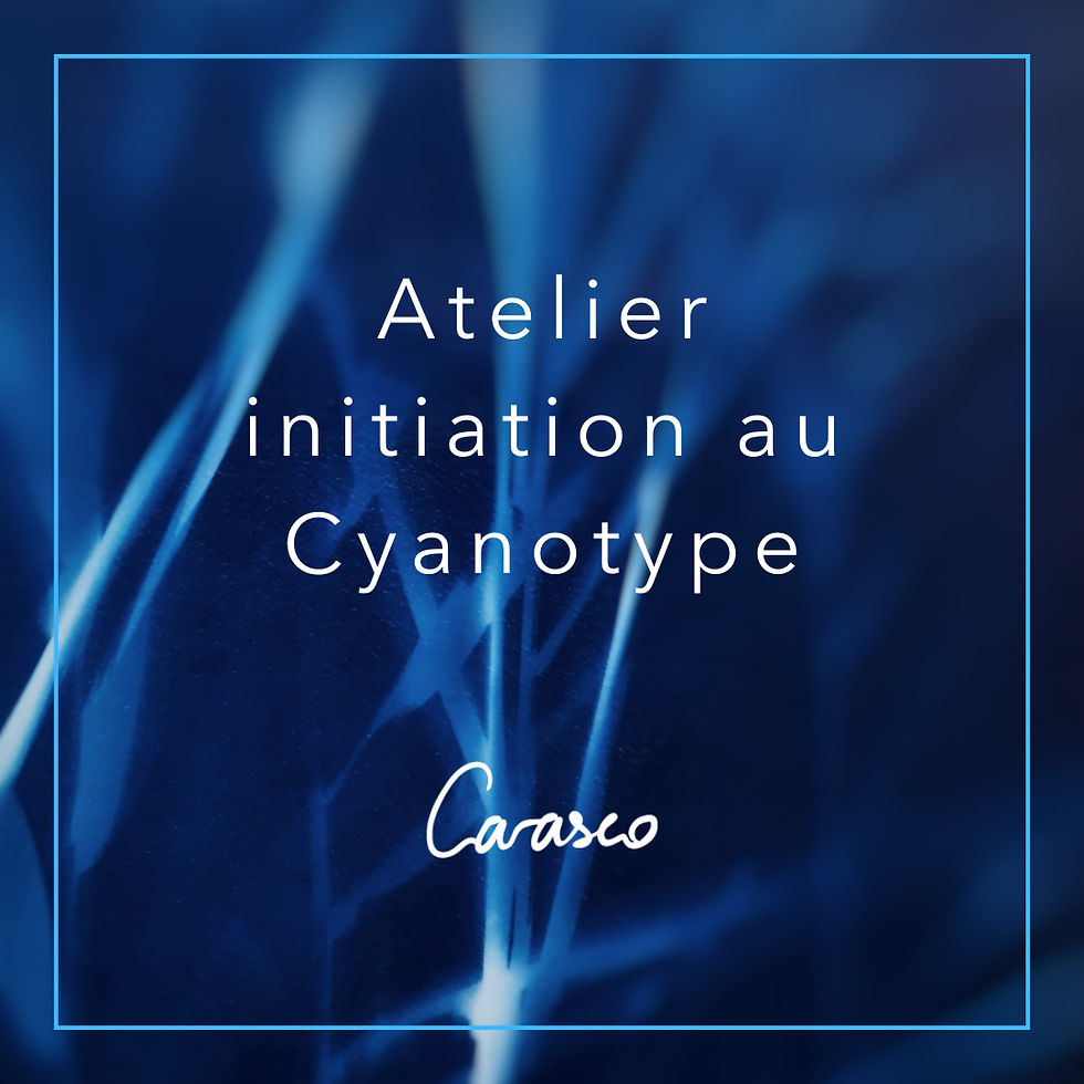 Miniature : Atelier cyanotype - Samedi 21 mars 2026 - 10h-13h