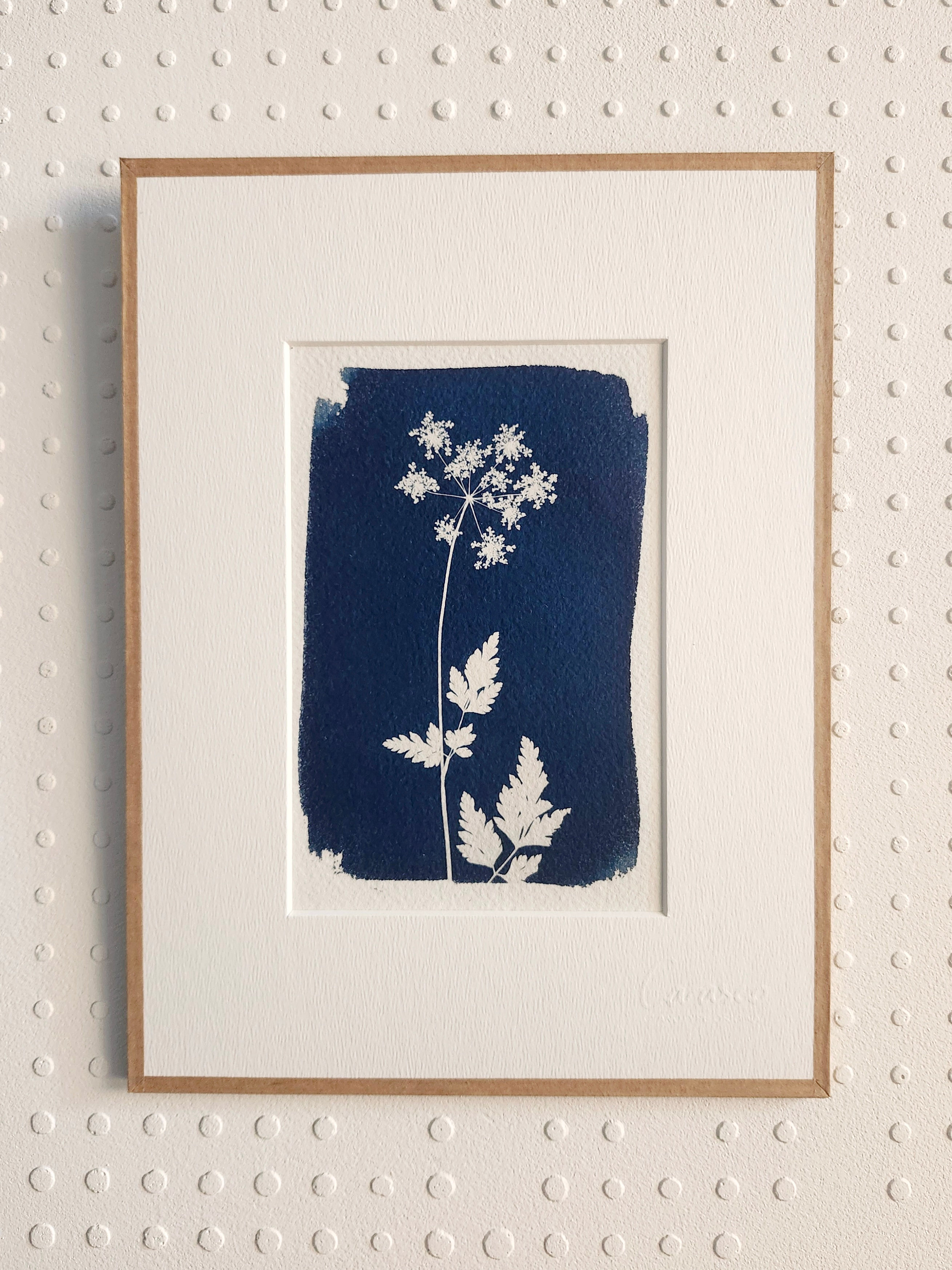 Ombellifère 1 - 18x24cm