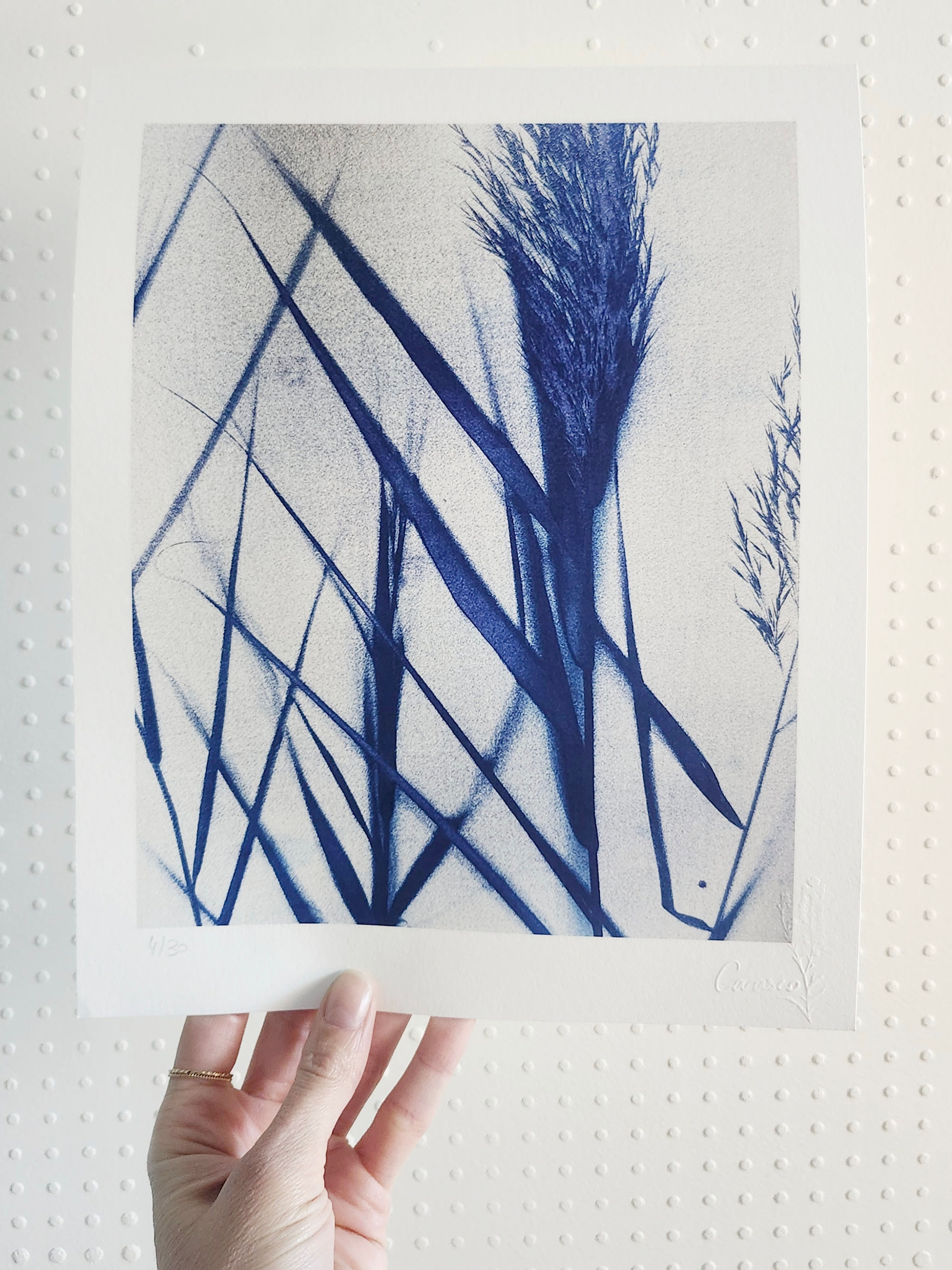 Les Eaumes - Tirage d'Art - 24x30cm - Roseaux