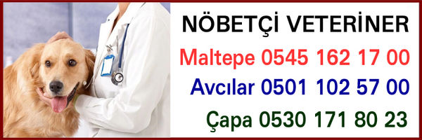 NÖBETÇİ-VETERİNER-3.jpg