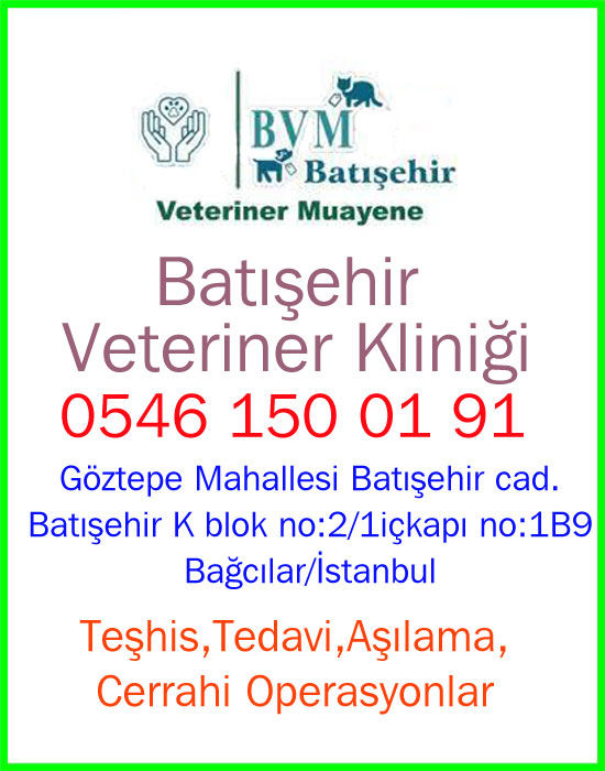 Batışehir Veteriner