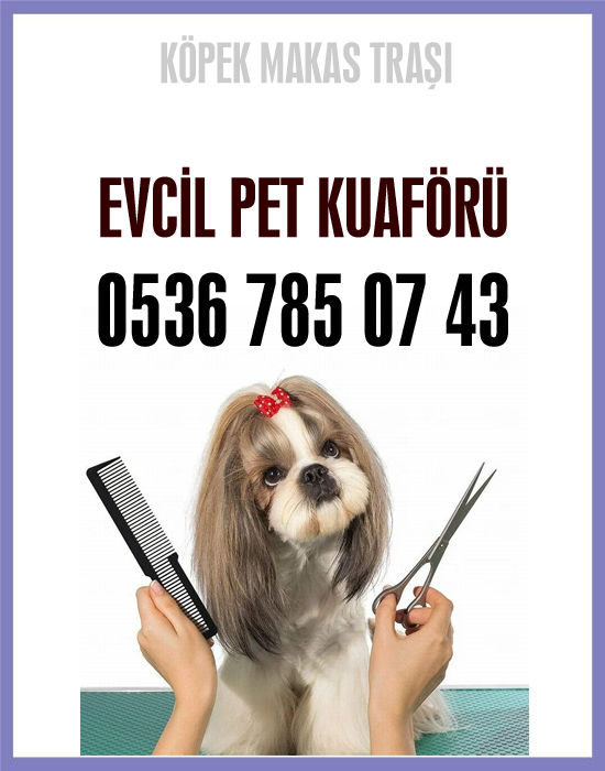 Köpek Makas Traşı Boğazköy