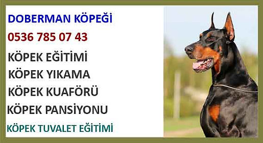DOBERMAN-EKLE.jpg