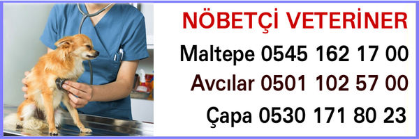nöbetçi-vet-2.jpg