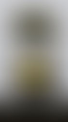 Las cosas maravillosas: sensibilidad a flor de piel 