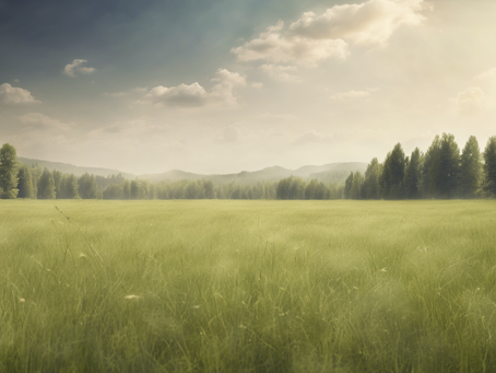 Preserving Cervid Habitats: Land Management Strategies