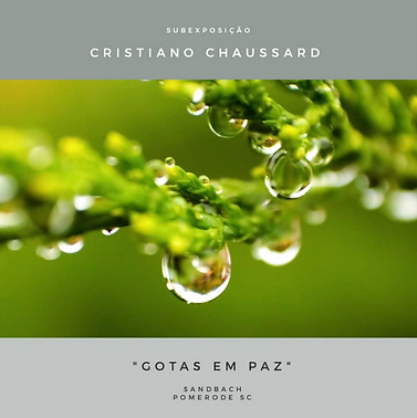 SUBEXPOSIÇÃO-SANDBACH POMERODE SC.png