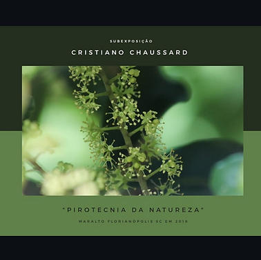 Subexposição Pirotecnia da Natureza.png