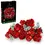 Thumbnail: Bouquet of Roses - LEGO Set (10328)