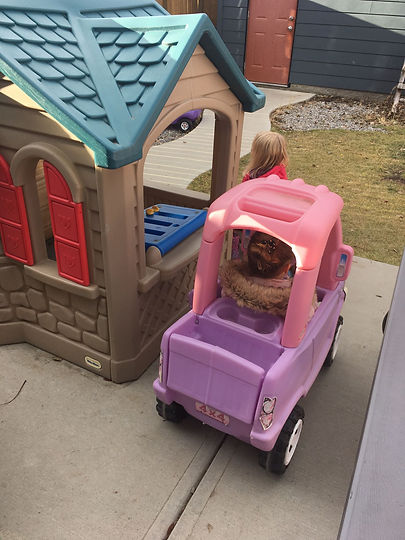 WhatsApp Image 2021-09-18 at 3.56.18 PM.jpeg