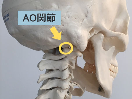 30秒ボイトレ♪首コリにも効くウォームアップ