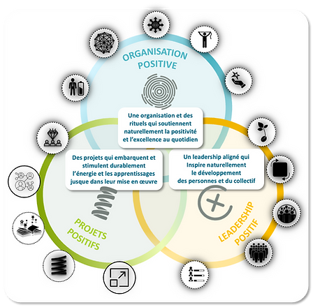 Transformation Positive Appreciative Inquiry.png