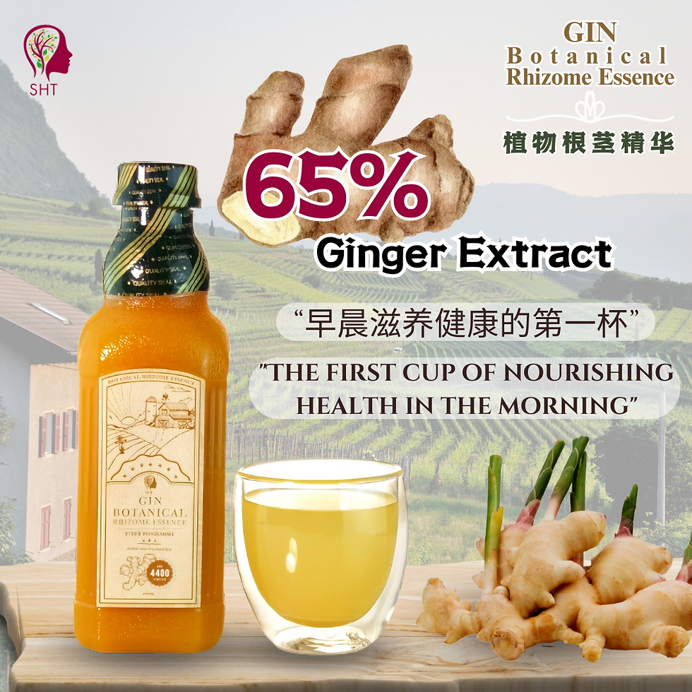 GIN Botanical Rhizome Essence 植物根茎精华