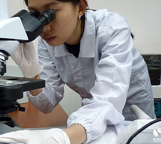 bio-nutricia-lab-Observing-plant-cell-structure.jpg