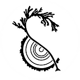 1._Logo_noir_seul_-_fond_blanc.png