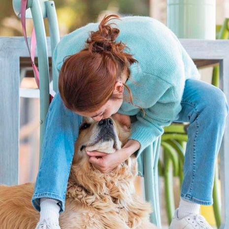 Pet Therapy