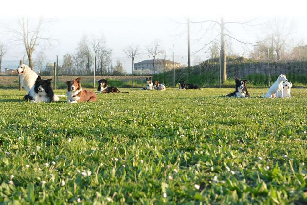 rem-village-corsi-di-formazione-emilia-romagna.jpg