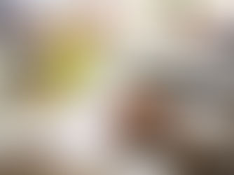 Everything to Consider When Choosing a Wedding Catering Service