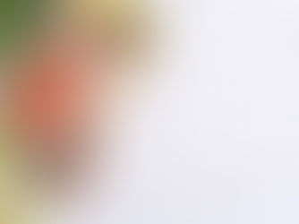 Healthy Catering: How to Include Nutrients for Brain Health