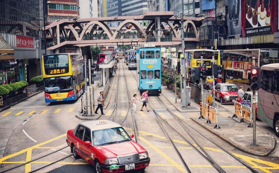 Urban jungle. Hongkong